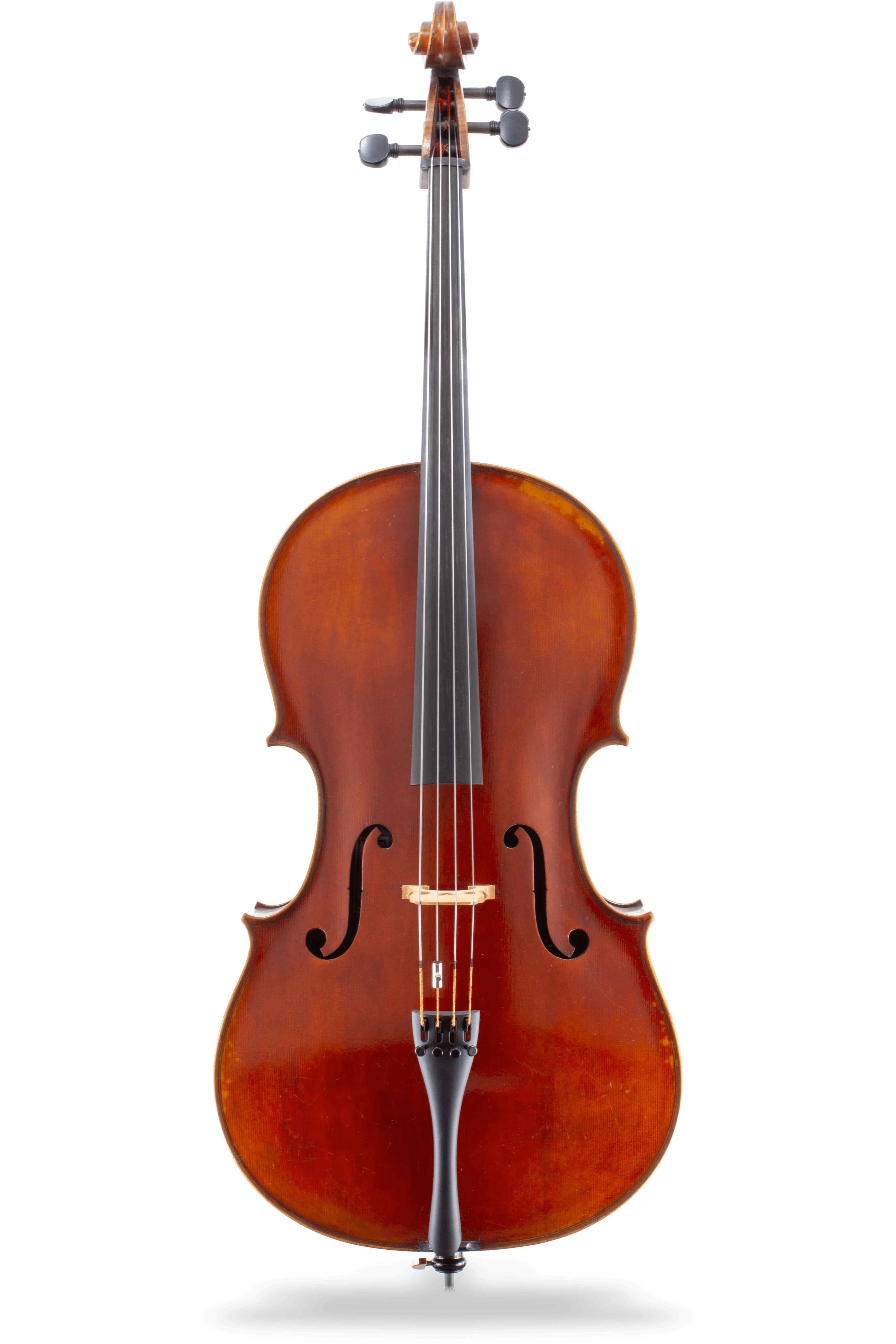 L'Ancienne Goffriller Cello