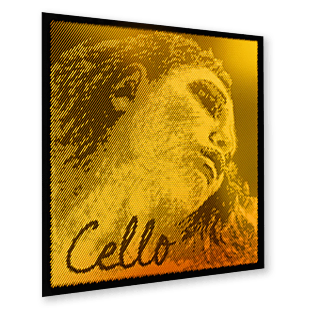 Evah Pirazzi Gold Cello D string