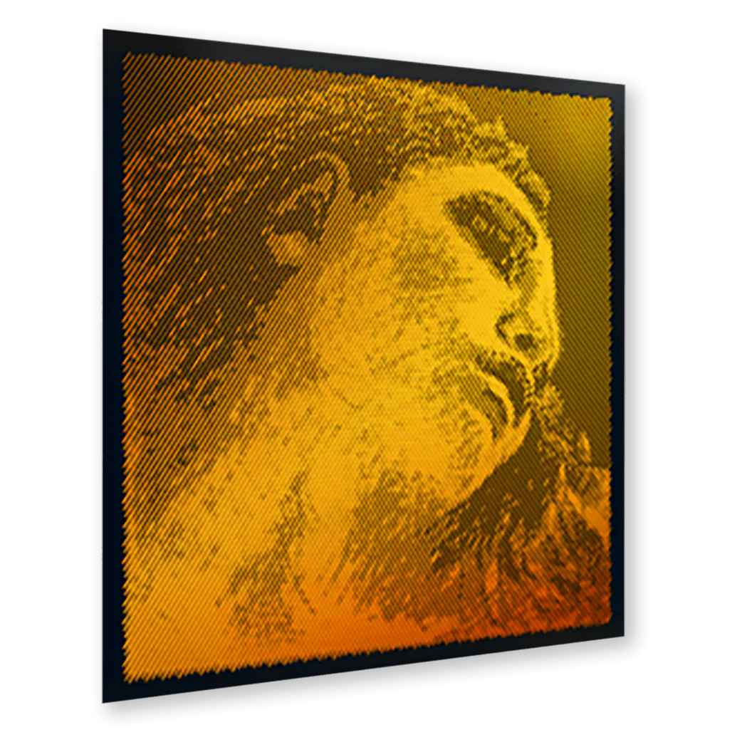 Evah Pirazzi Gold Violin D string
