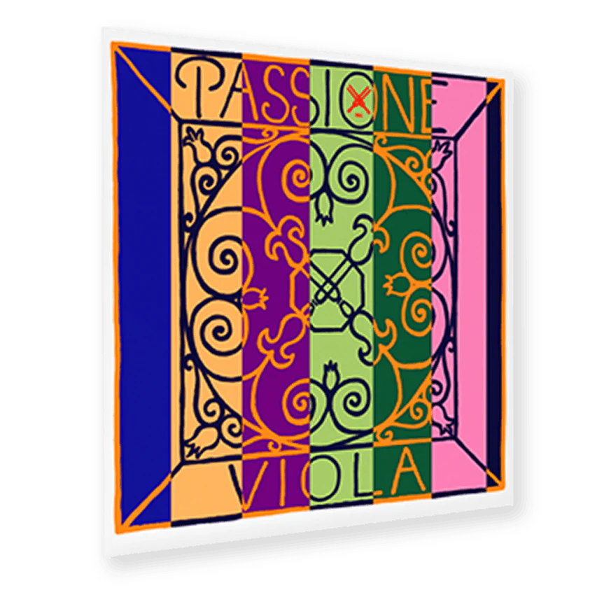 Passione Viola D string