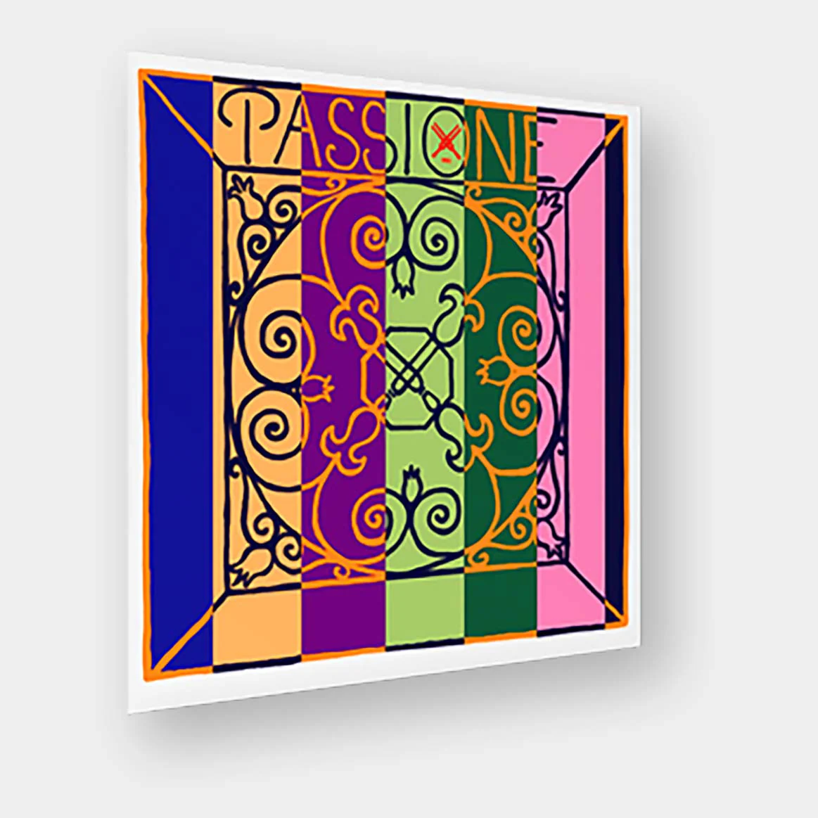Passione Violin D string