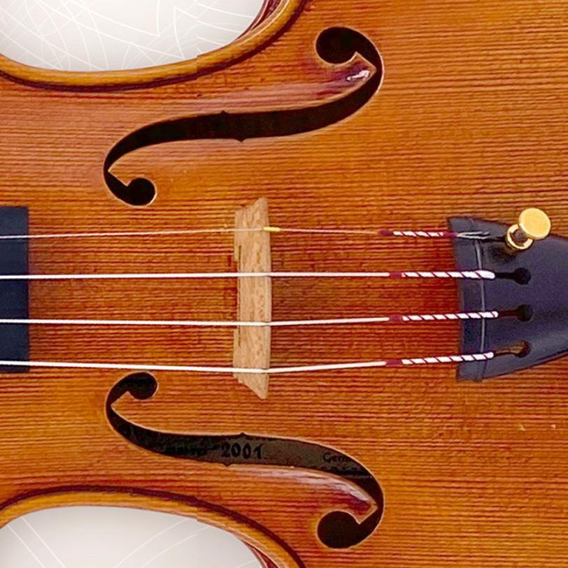 Perpetual Violin E string - Image 2