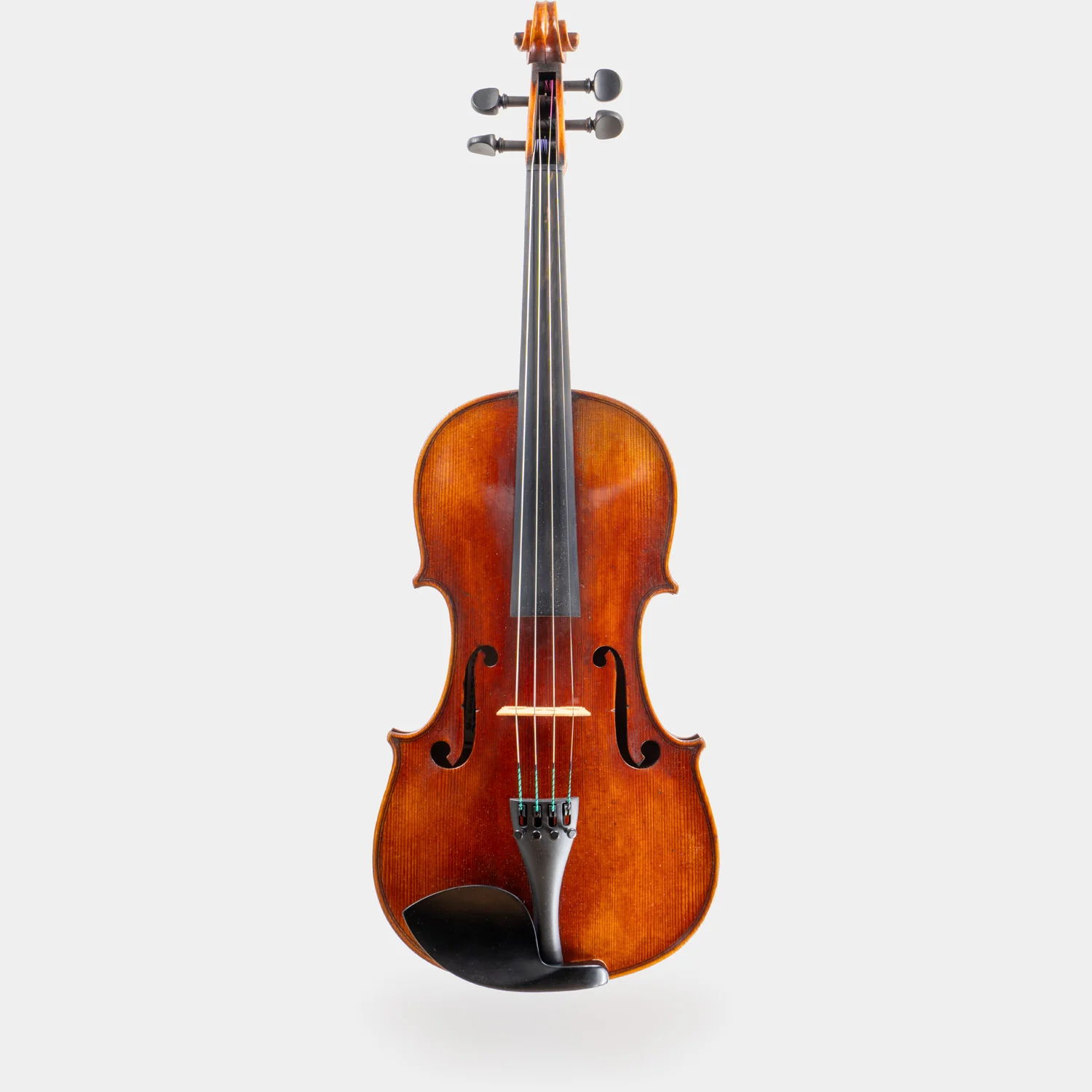 Special Model Bajoni Viola