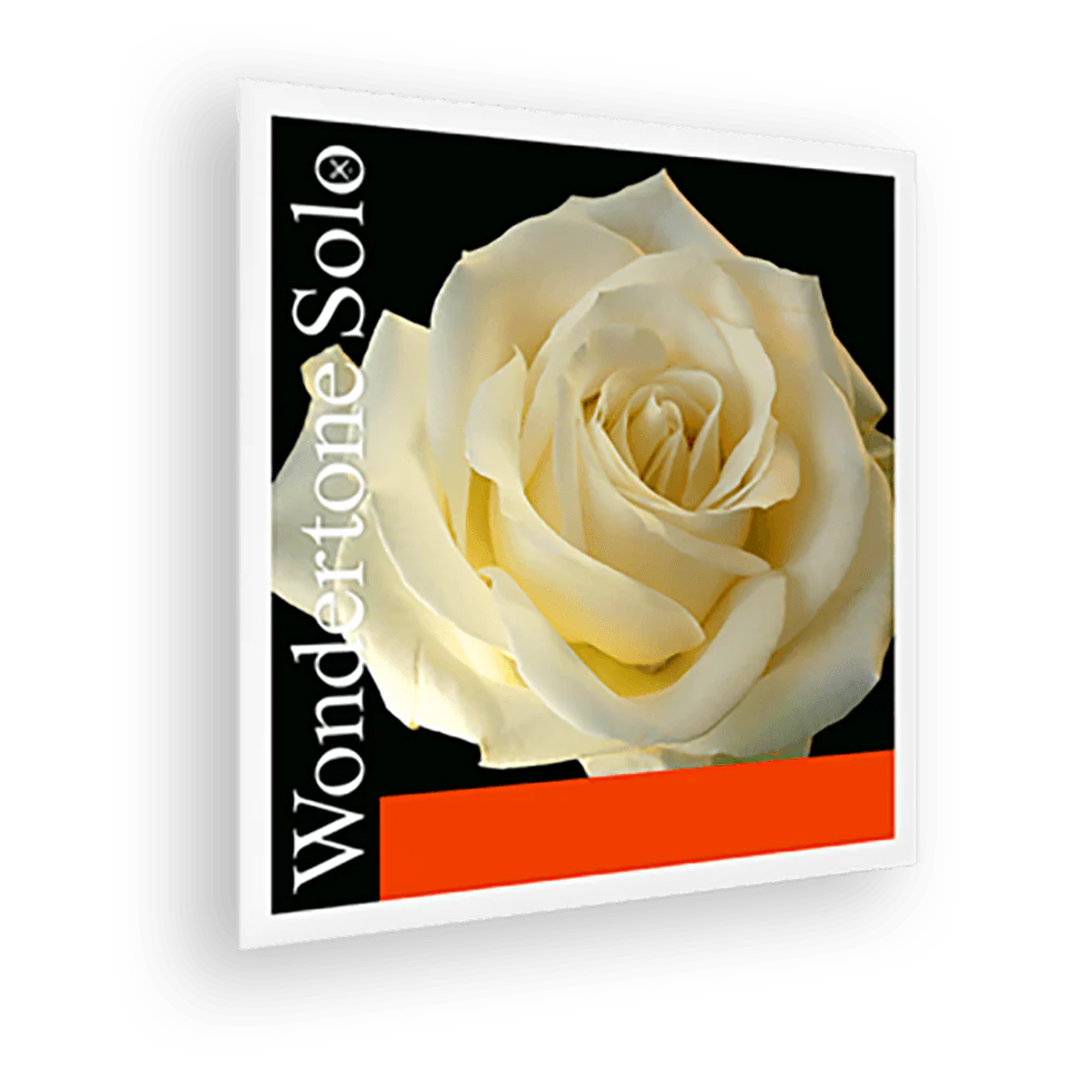 Wondertone Solo Violin A string